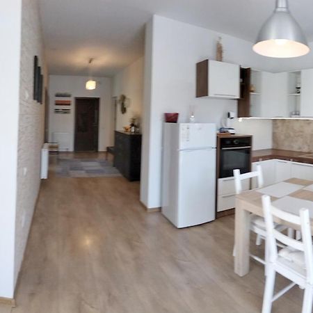 Apartament De Lux Cu Terasa Apartment Timisoara Exterior photo